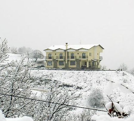 Guesthouse Mirihos Vlásti Eksteriør billede